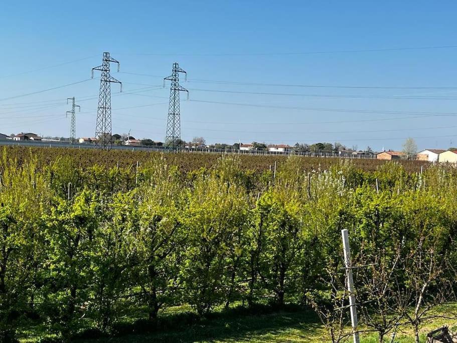 Sotto la luna Casa in campagna Castel Bolognese Esterno foto