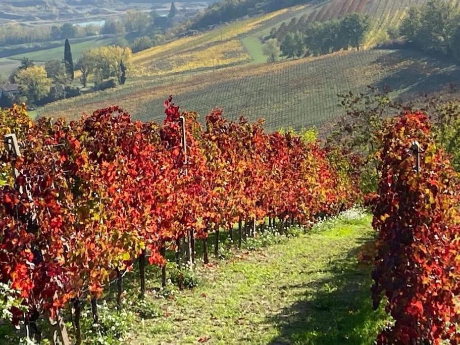 Sotto la luna Casa in campagna Castel Bolognese Esterno foto