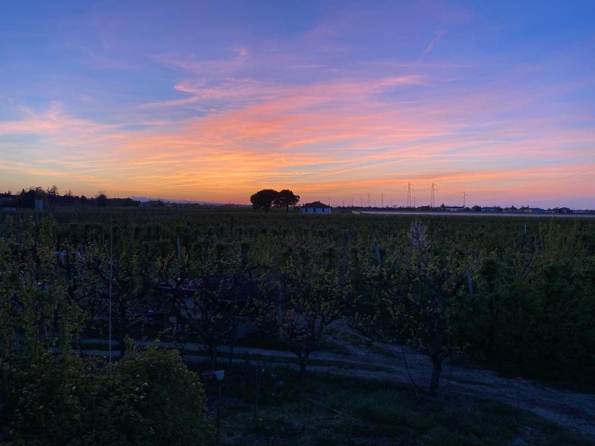 Sotto la luna Casa in campagna Castel Bolognese Esterno foto